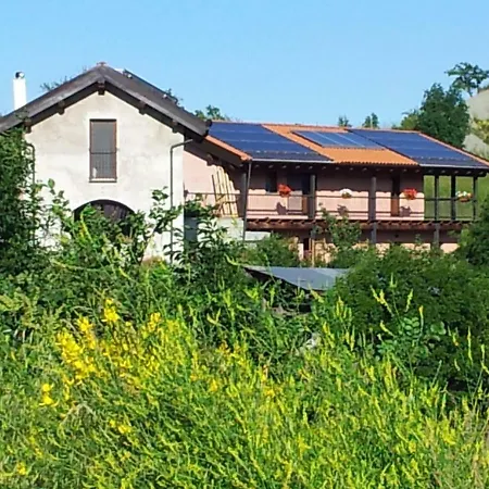 La Volpe E La Luna Mioglia