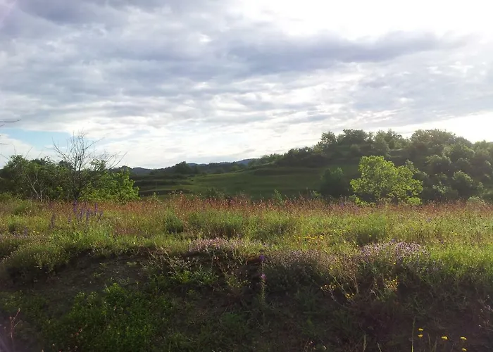 Bed & Breakfast La Volpe E La Luna